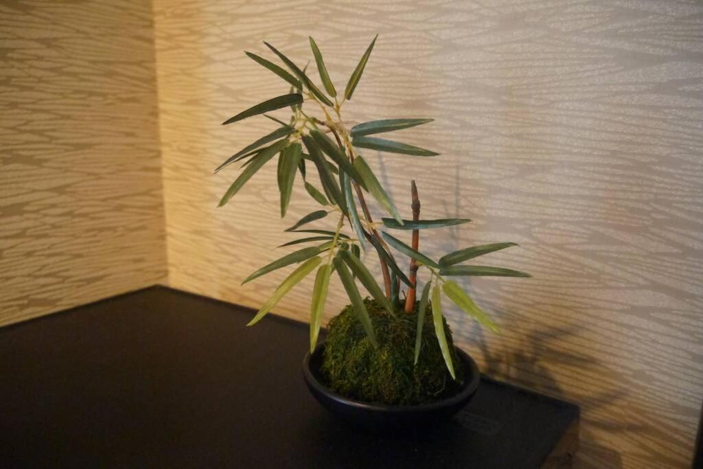 Ems-An Villa Kyoto Eksteriør bilde
